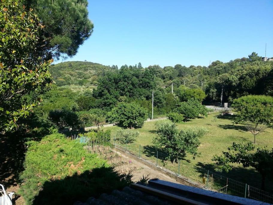 Appartement Au Fond Du Jardin Saint Jean du Pin Exteriér fotografie